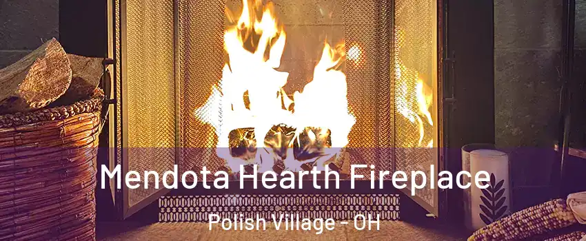 Mendota Hearth Fireplace Polish Village - OH