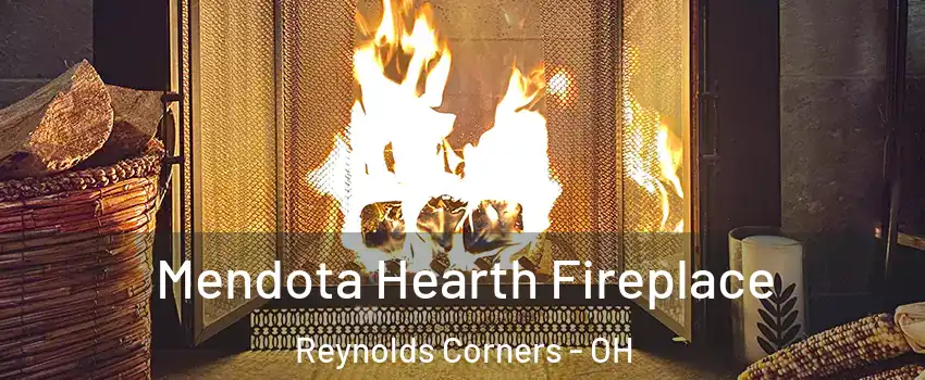 Mendota Hearth Fireplace Reynolds Corners - OH
