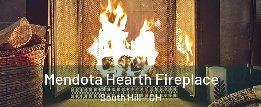Mendota Hearth Fireplace South Hill - OH