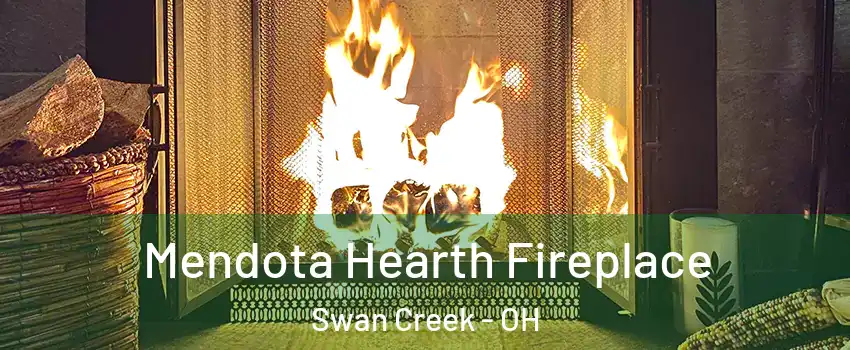 Mendota Hearth Fireplace Swan Creek - OH