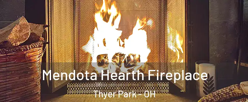 Mendota Hearth Fireplace Thyer Park - OH