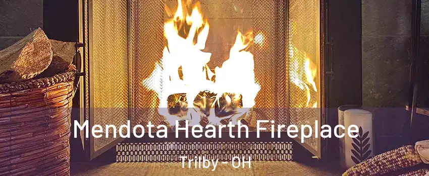 Mendota Hearth Fireplace Trilby - OH