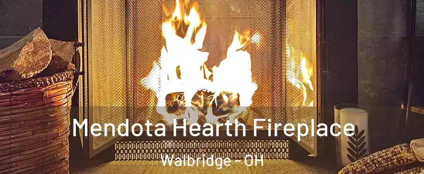 Mendota Hearth Fireplace Walbridge - OH