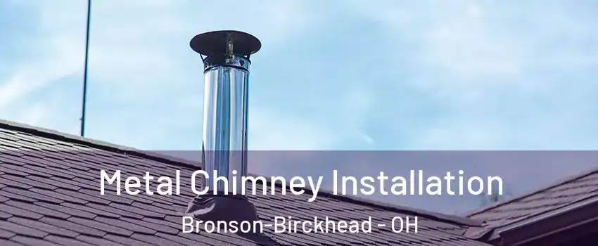 Metal Chimney Installation Bronson-Birckhead - OH