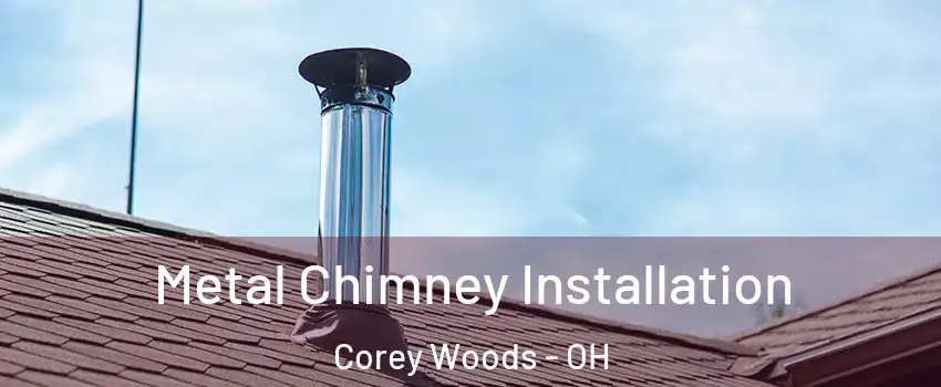 Metal Chimney Installation Corey Woods - OH