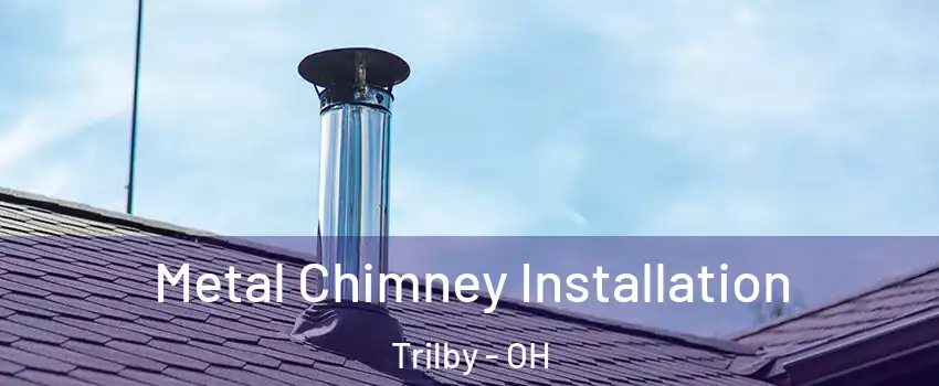 Metal Chimney Installation Trilby - OH