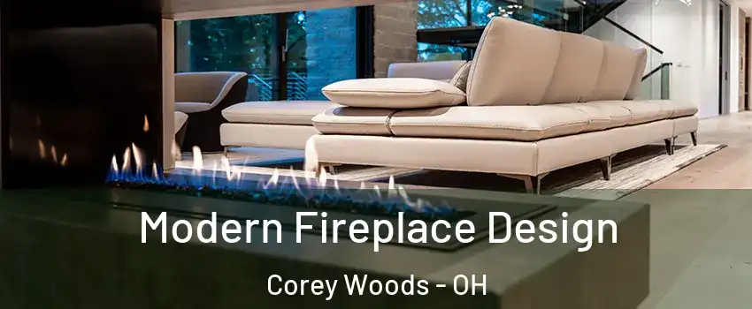 Modern Fireplace Design Corey Woods - OH