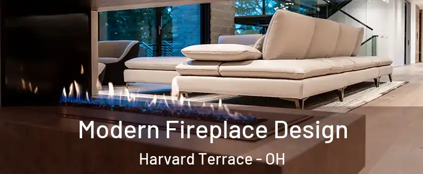 Modern Fireplace Design Harvard Terrace - OH