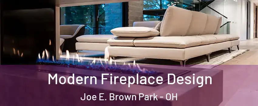 Modern Fireplace Design Joe E. Brown Park - OH