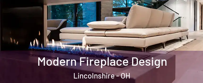 Modern Fireplace Design Lincolnshire - OH