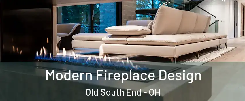 Modern Fireplace Design Old South End - OH