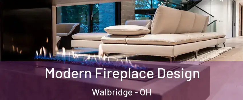 Modern Fireplace Design Walbridge - OH