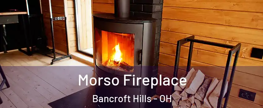 Morso Fireplace Bancroft Hills - OH