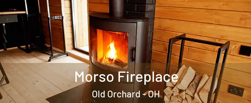 Morso Fireplace Old Orchard - OH