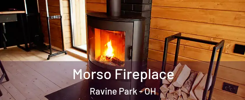 Morso Fireplace Ravine Park - OH