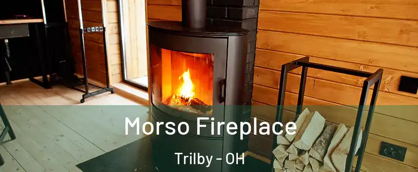 Morso Fireplace Trilby - OH