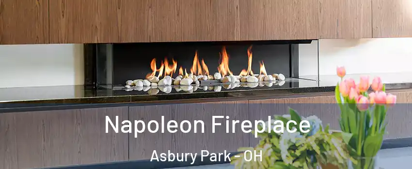 Napoleon Fireplace Asbury Park - OH
