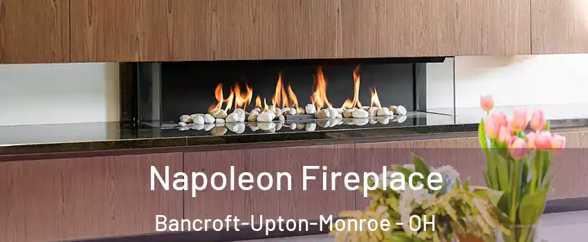 Napoleon Fireplace Bancroft-Upton-Monroe - OH