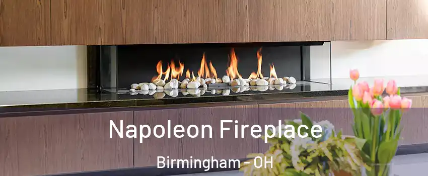 Napoleon Fireplace Birmingham - OH