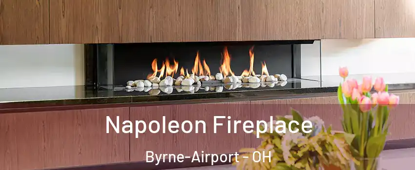 Napoleon Fireplace Byrne-Airport - OH