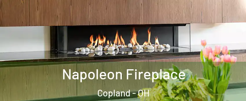 Napoleon Fireplace Copland - OH