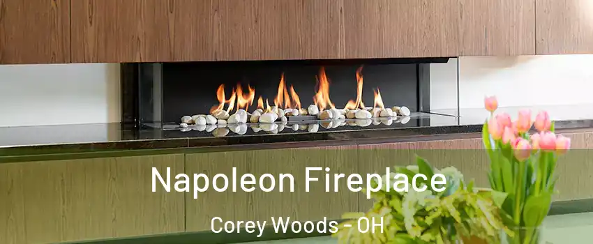 Napoleon Fireplace Corey Woods - OH