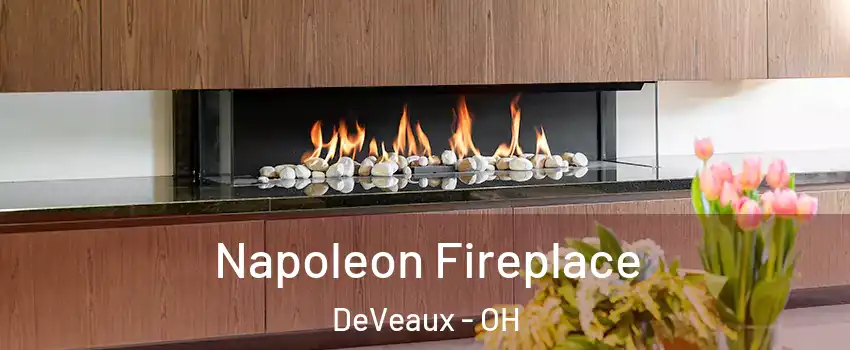 Napoleon Fireplace DeVeaux - OH