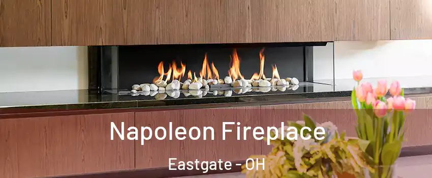 Napoleon Fireplace Eastgate - OH