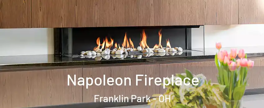 Napoleon Fireplace Franklin Park - OH