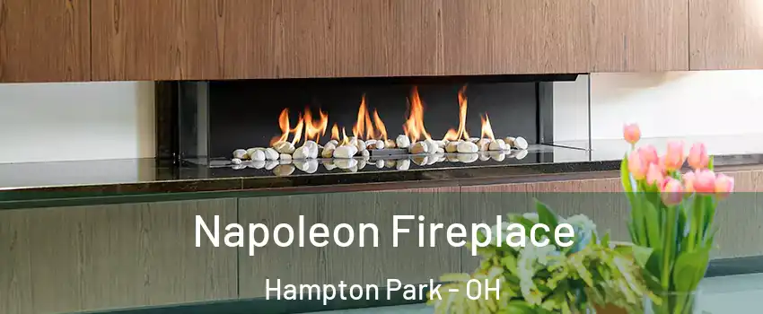 Napoleon Fireplace Hampton Park - OH