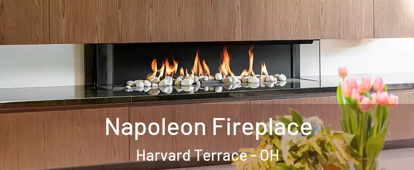 Napoleon Fireplace Harvard Terrace - OH