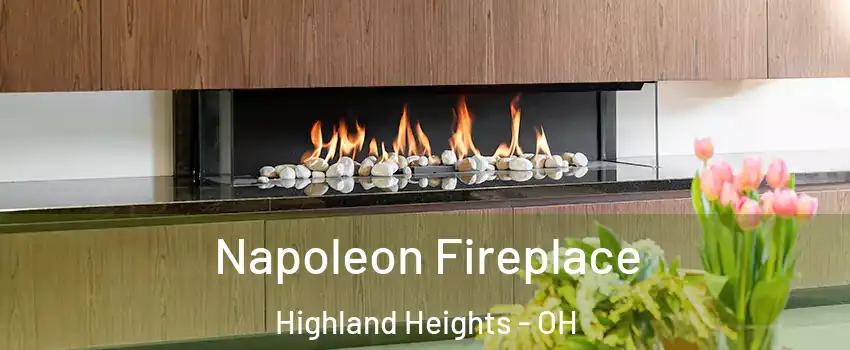 Napoleon Fireplace Highland Heights - OH