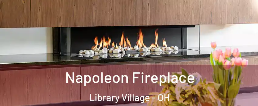 Napoleon Fireplace Library Village - OH