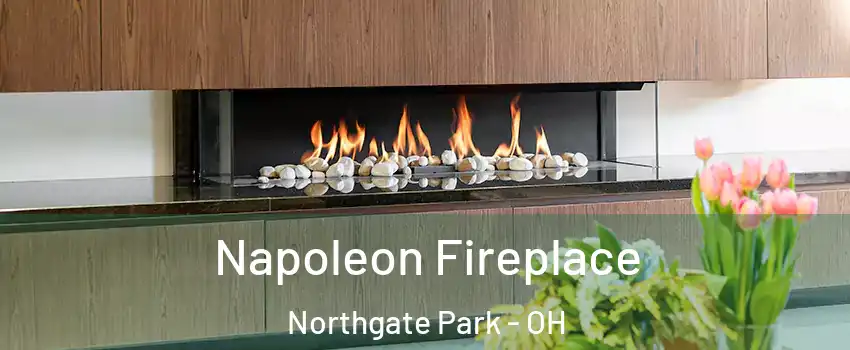 Napoleon Fireplace Northgate Park - OH