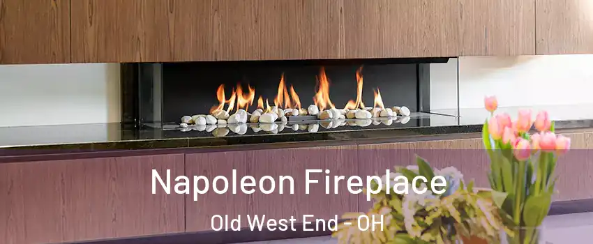 Napoleon Fireplace Old West End - OH