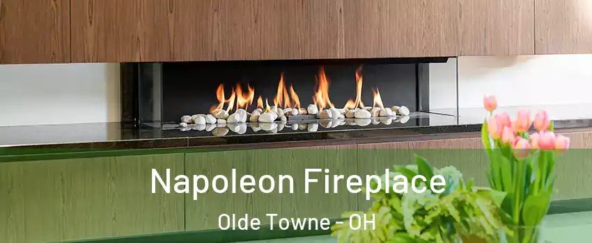 Napoleon Fireplace Olde Towne - OH
