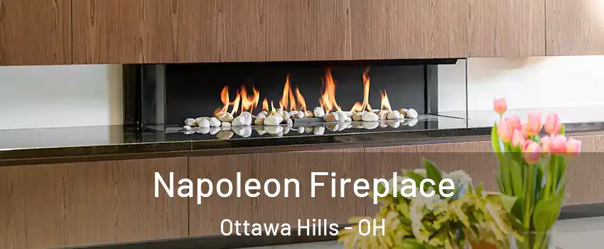 Napoleon Fireplace Ottawa Hills - OH