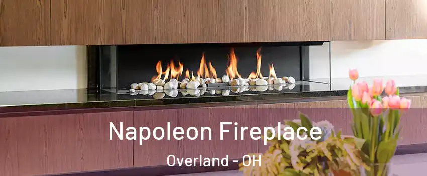 Napoleon Fireplace Overland - OH