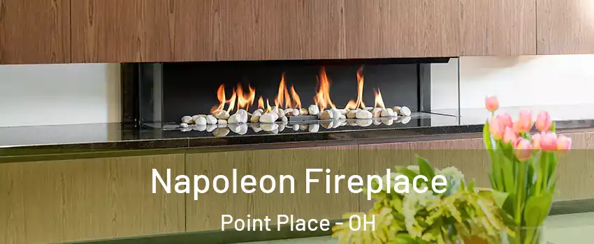 Napoleon Fireplace Point Place - OH