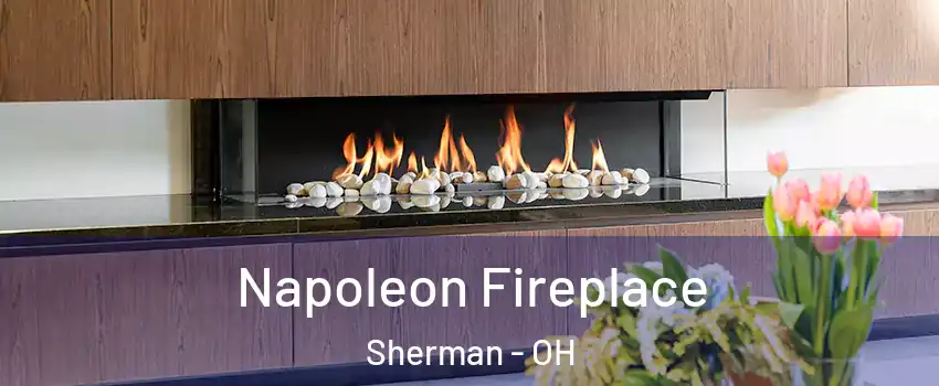 Napoleon Fireplace Sherman - OH