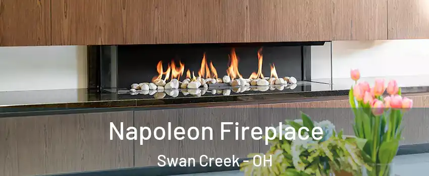 Napoleon Fireplace Swan Creek - OH