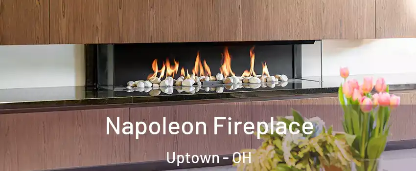 Napoleon Fireplace Uptown - OH