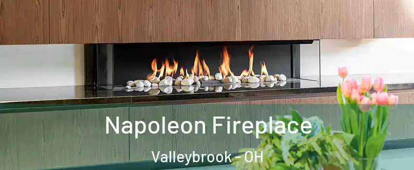 Napoleon Fireplace Valleybrook - OH