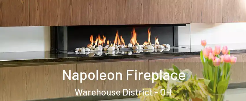 Napoleon Fireplace Warehouse District - OH