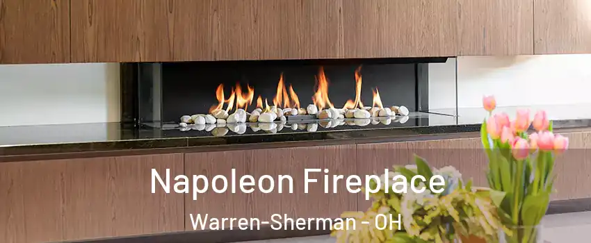 Napoleon Fireplace Warren-Sherman - OH