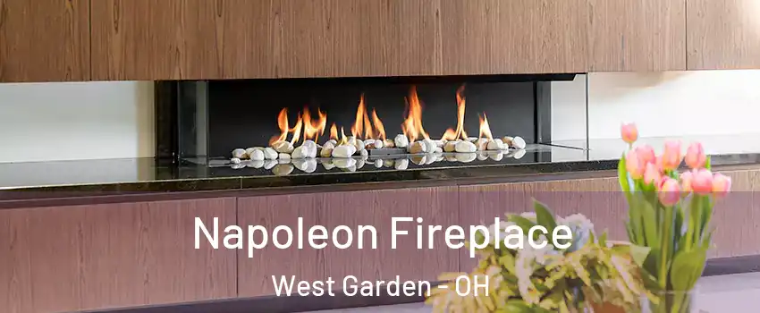 Napoleon Fireplace West Garden - OH