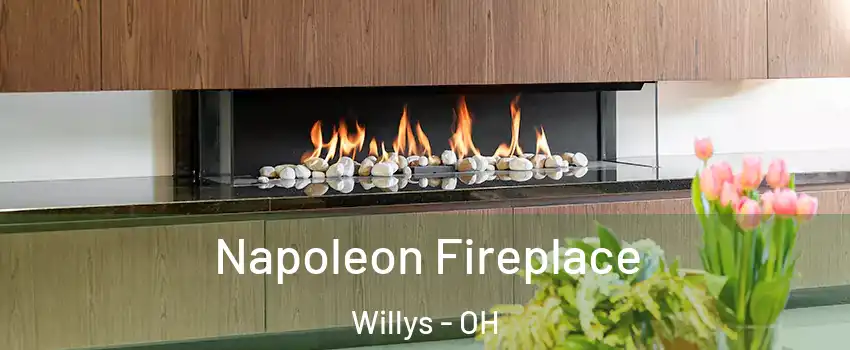 Napoleon Fireplace Willys - OH