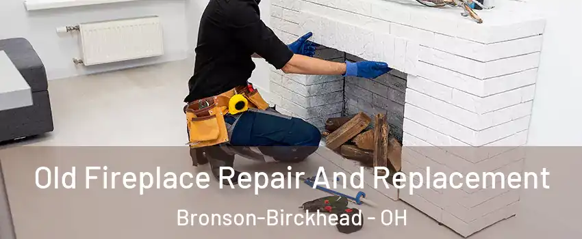 Old Fireplace Repair And Replacement Bronson-Birckhead - OH