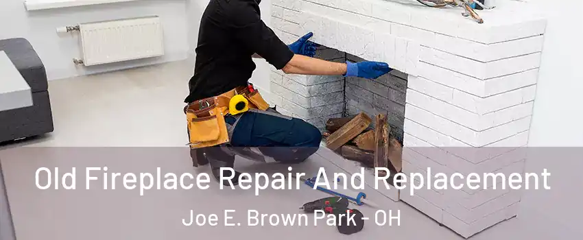 Old Fireplace Repair And Replacement Joe E. Brown Park - OH