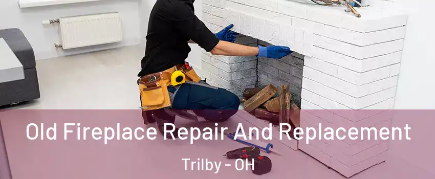 Old Fireplace Repair And Replacement Trilby - OH